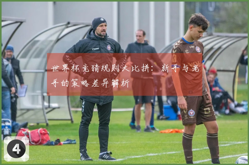 世界杯竞猜规则大比拼：新手与老手的策略差异解析