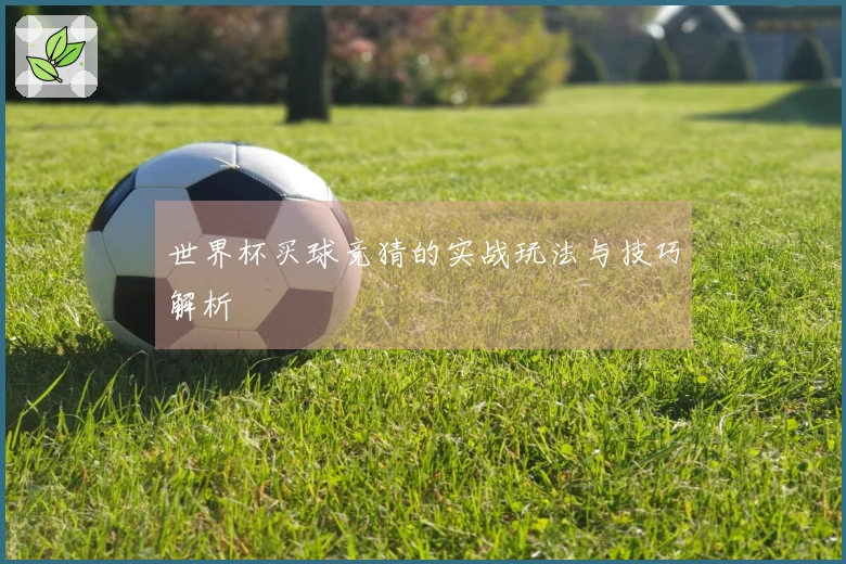 世界杯买球竞猜的实战玩法与技巧解析