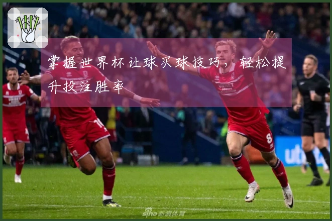 掌握世界杯让球买球技巧，轻松提升投注胜率