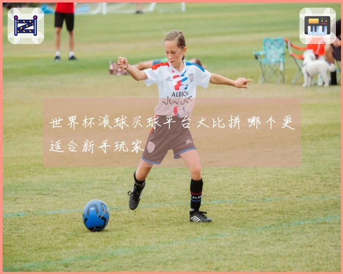 世界杯滚球买球平台大比拼 哪个更适合新手玩家