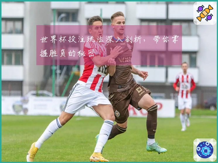 世界杯投注玩法深入剖析，带你掌握胜负的秘密
