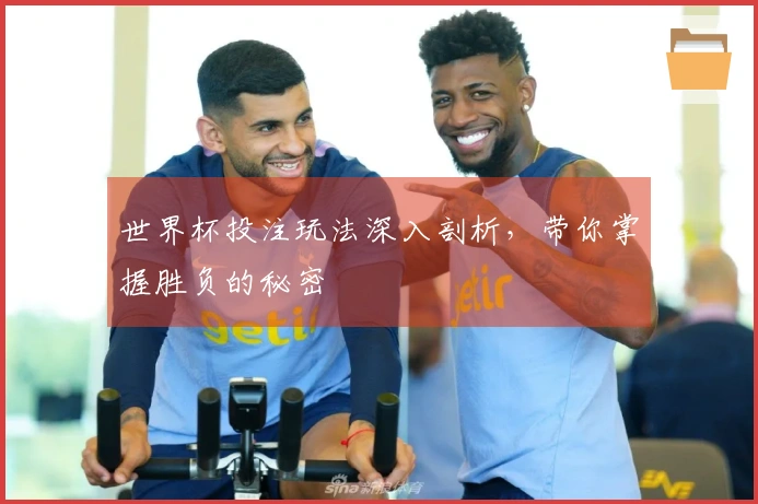 世界杯投注玩法深入剖析，带你掌握胜负的秘密
