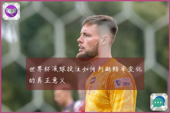 世界杯滚球投注如何判断赔率变化的真正意义