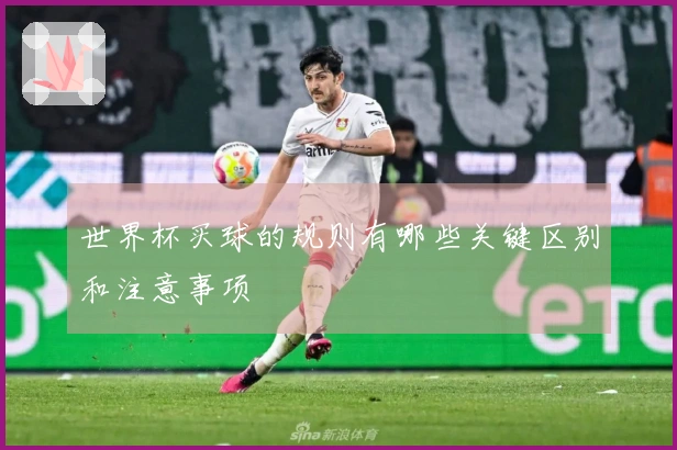 世界杯买球的规则有哪些关键区别和注意事项