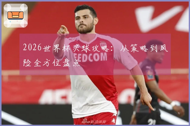 2026世界杯买球攻略：从策略到风险全方位盘点