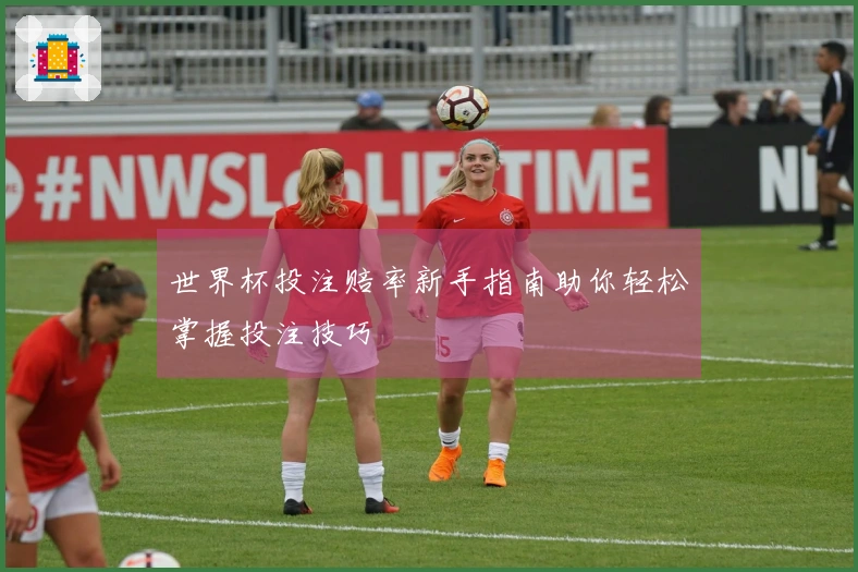 世界杯投注赔率新手指南助你轻松掌握投注技巧